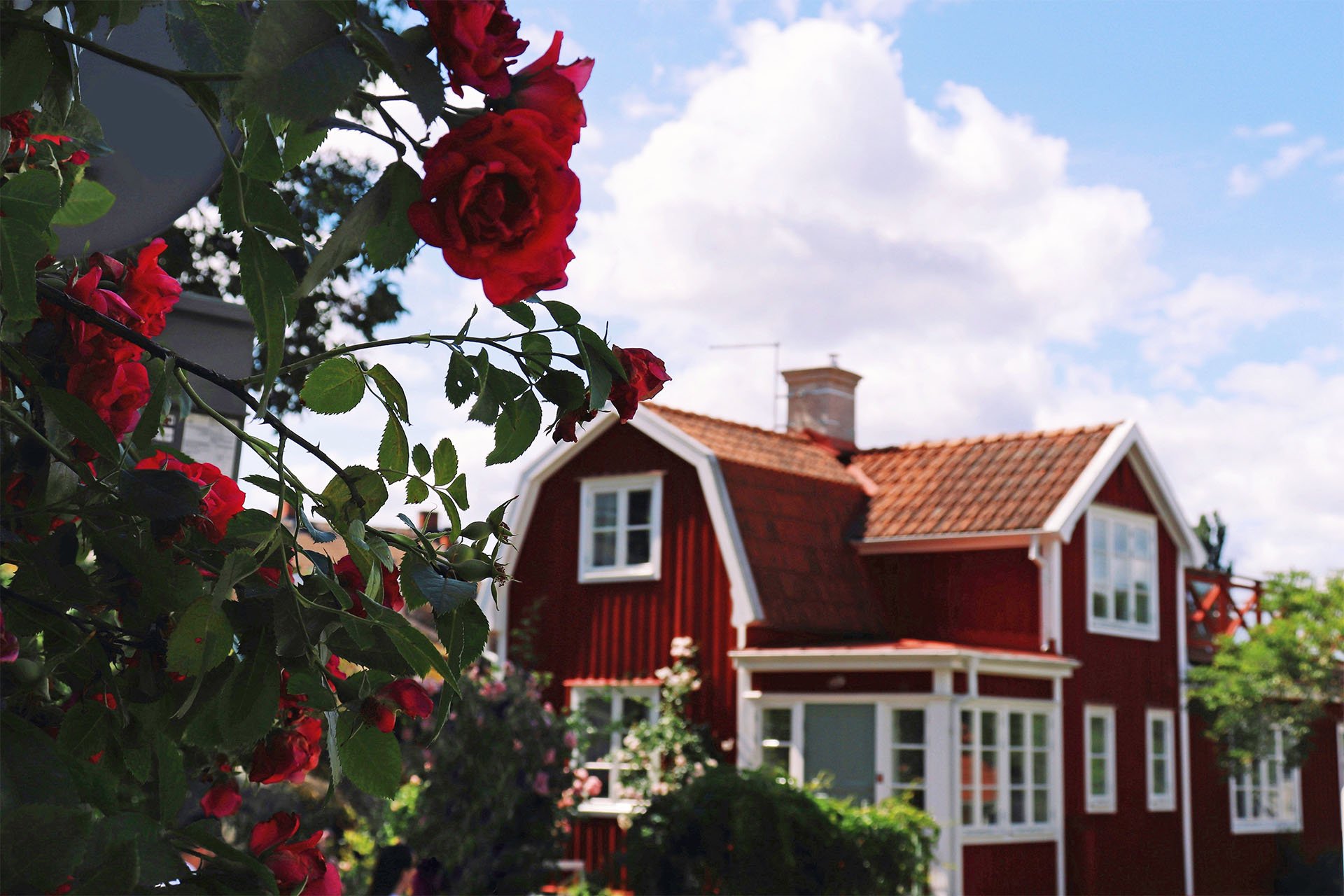 anna-delliou-wevb4thjwte-unsplash1