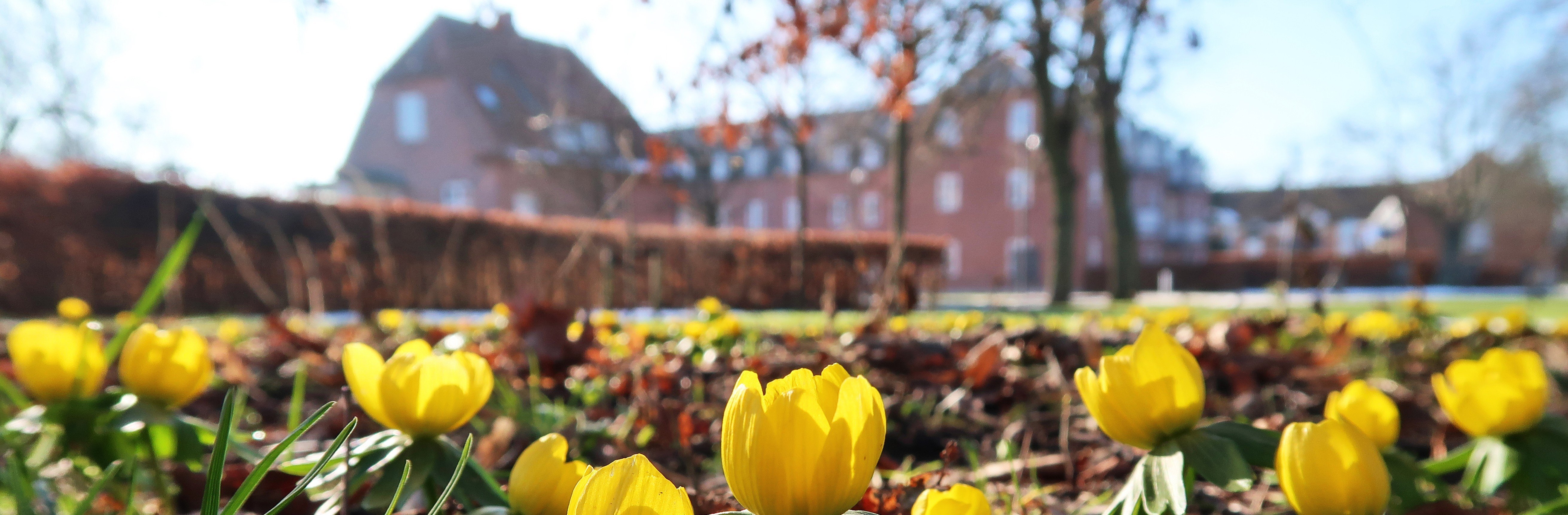 glostrup_kommune_cover