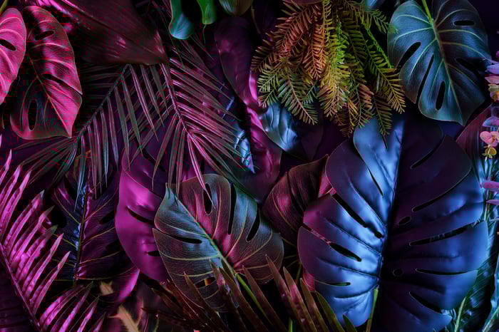 adobestock_441306218