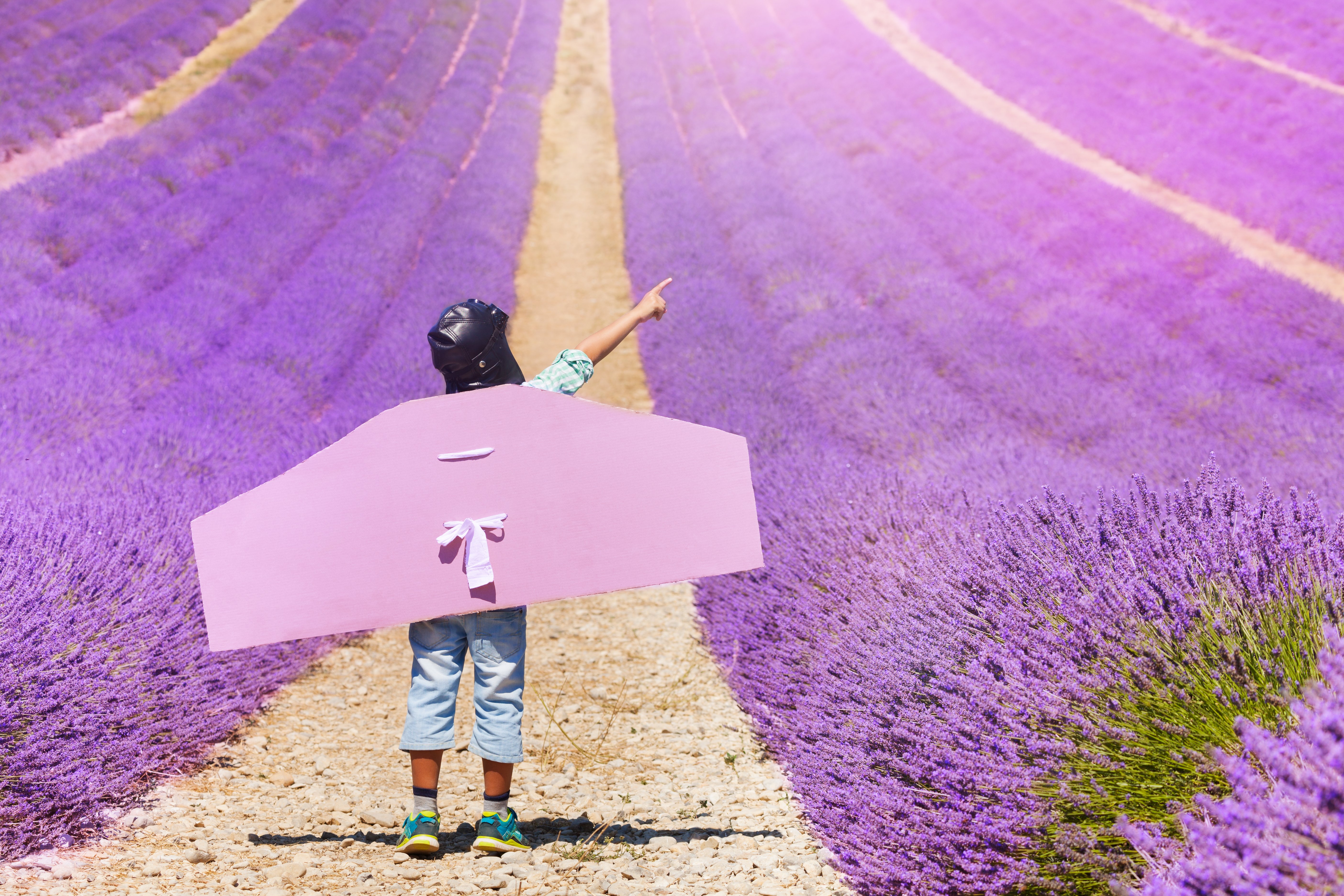 toddler-lavender