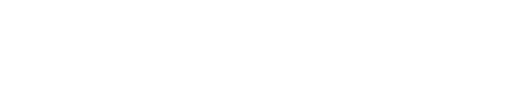 transportstyrelsens_logotyp_vit